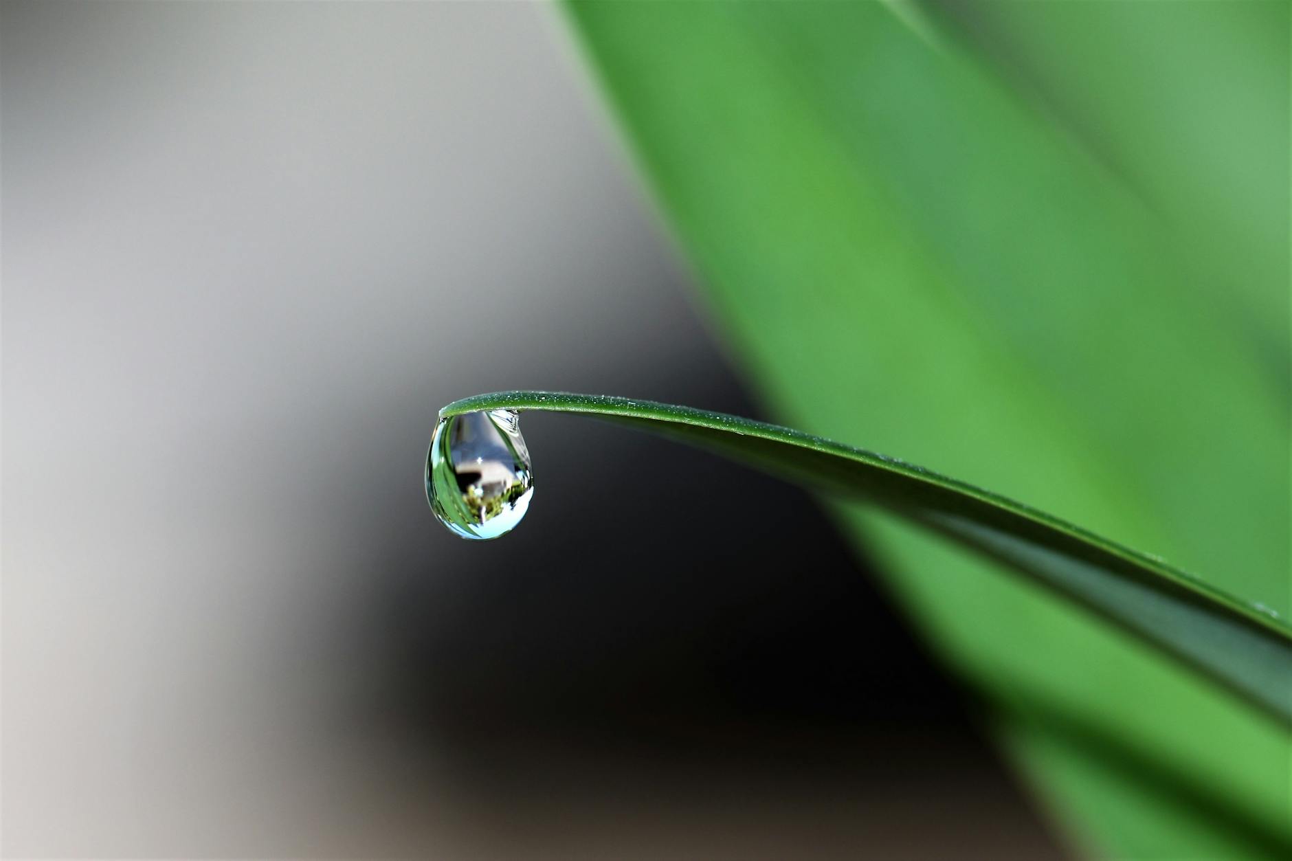 Raindrop Launches AI Observability Platform for Enhanced App Performance Monitoring