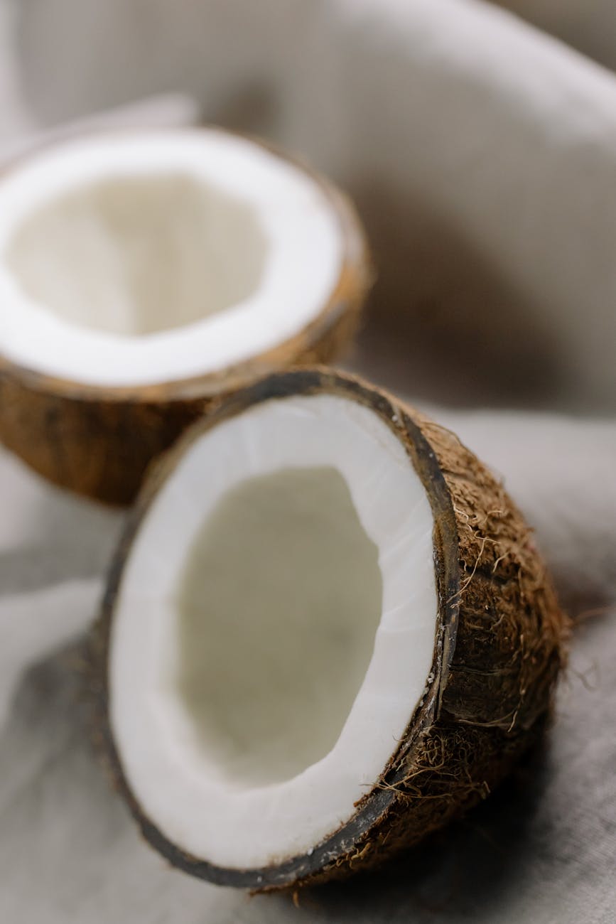 AGI Kernel Built in 38 Days Claims Symbolic Reasoning Breakthrough