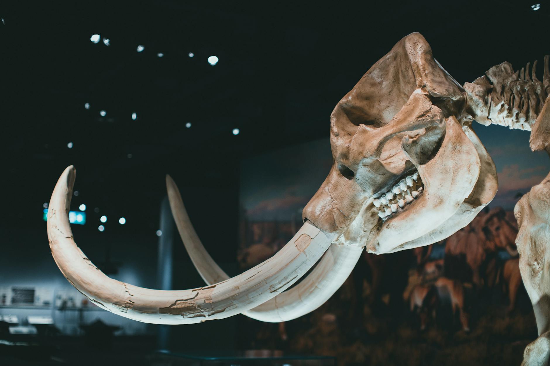 Anthropic Scientist Warns of Significant AI-Related Extinction Risk
