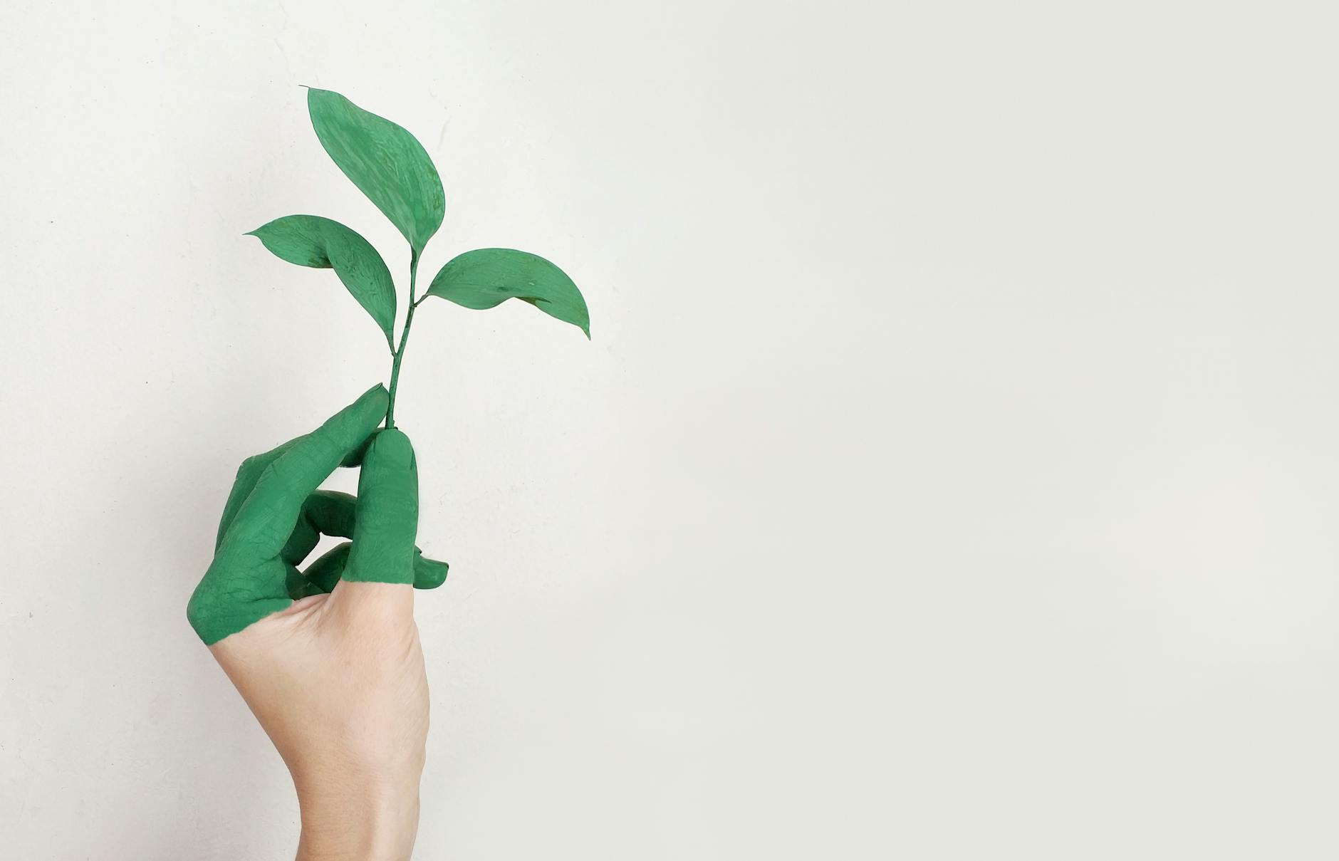 AI-Powered Innovation: Lone Researcher Unveils 200+ Planetary Regeneration Solutions