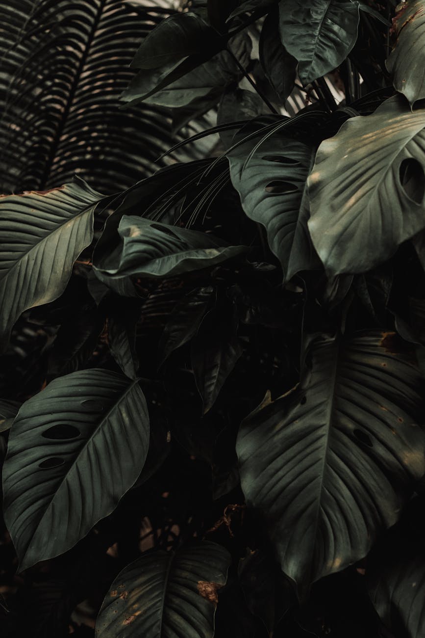 AI Imagines a Post-Apocalyptic, Jungle-Infested New York City