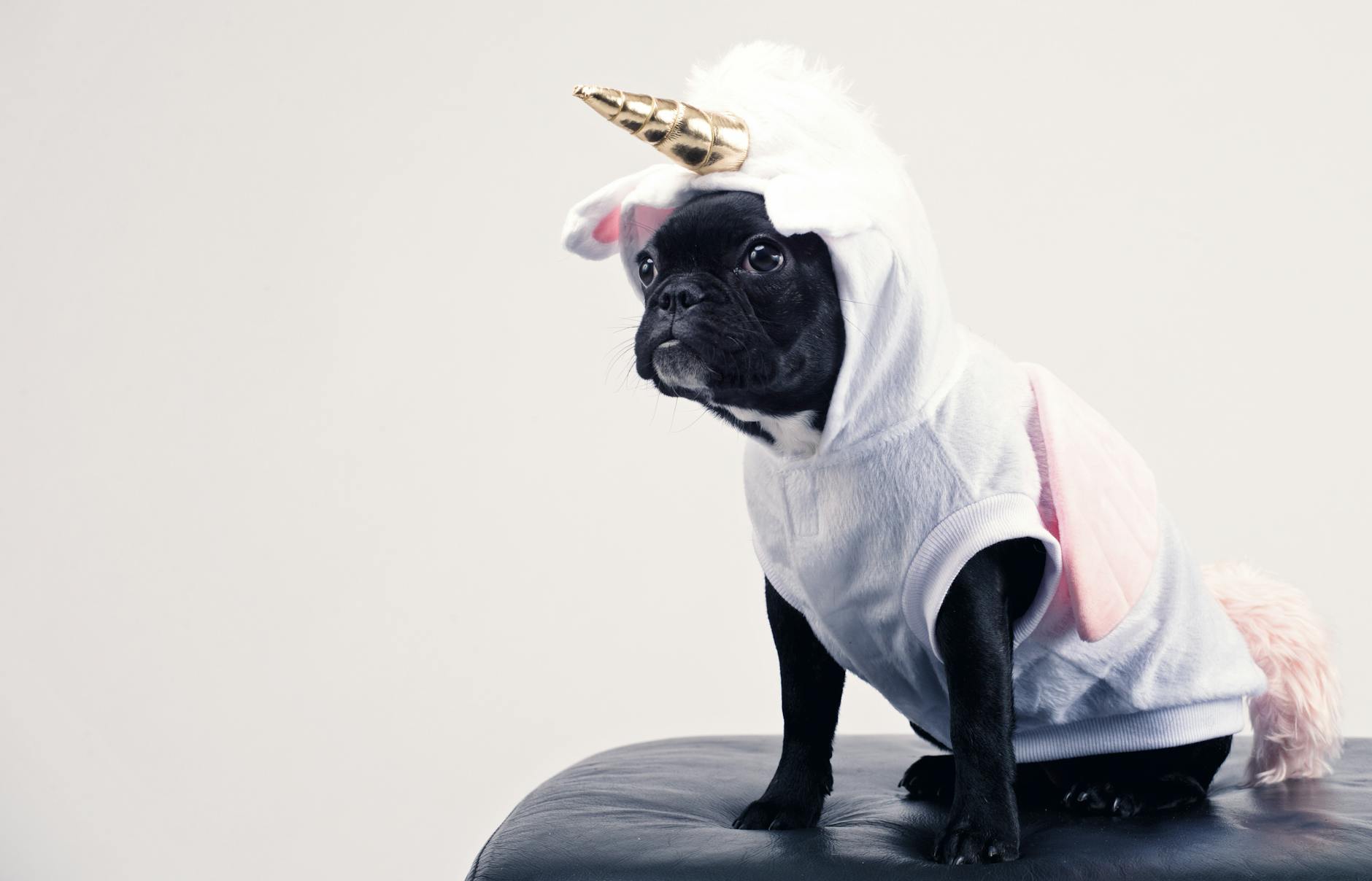 Trillion-Dollar AI Unicorns Forge New Billionaires