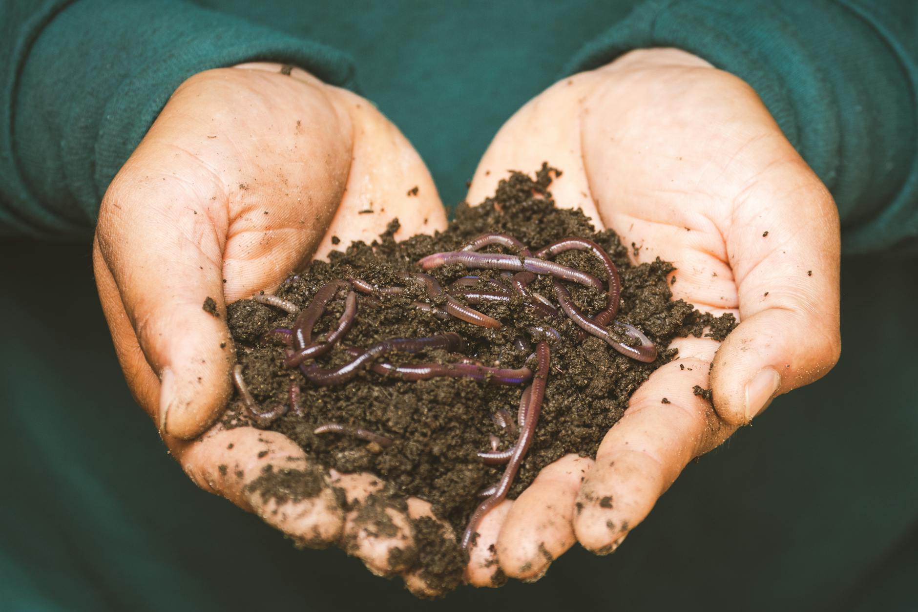 Demand Grows for Updates on AI Worm Research and Potential Risks