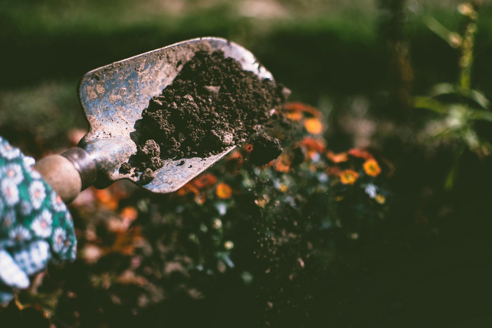Cultivating AI: A Gardener's Approach to Artificial Intelligence
