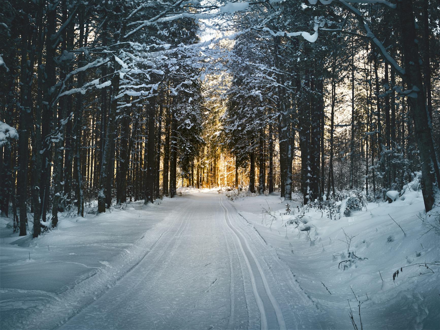 AI 'Winter' Forecasts: Slowdown Concerns a Recurring Theme