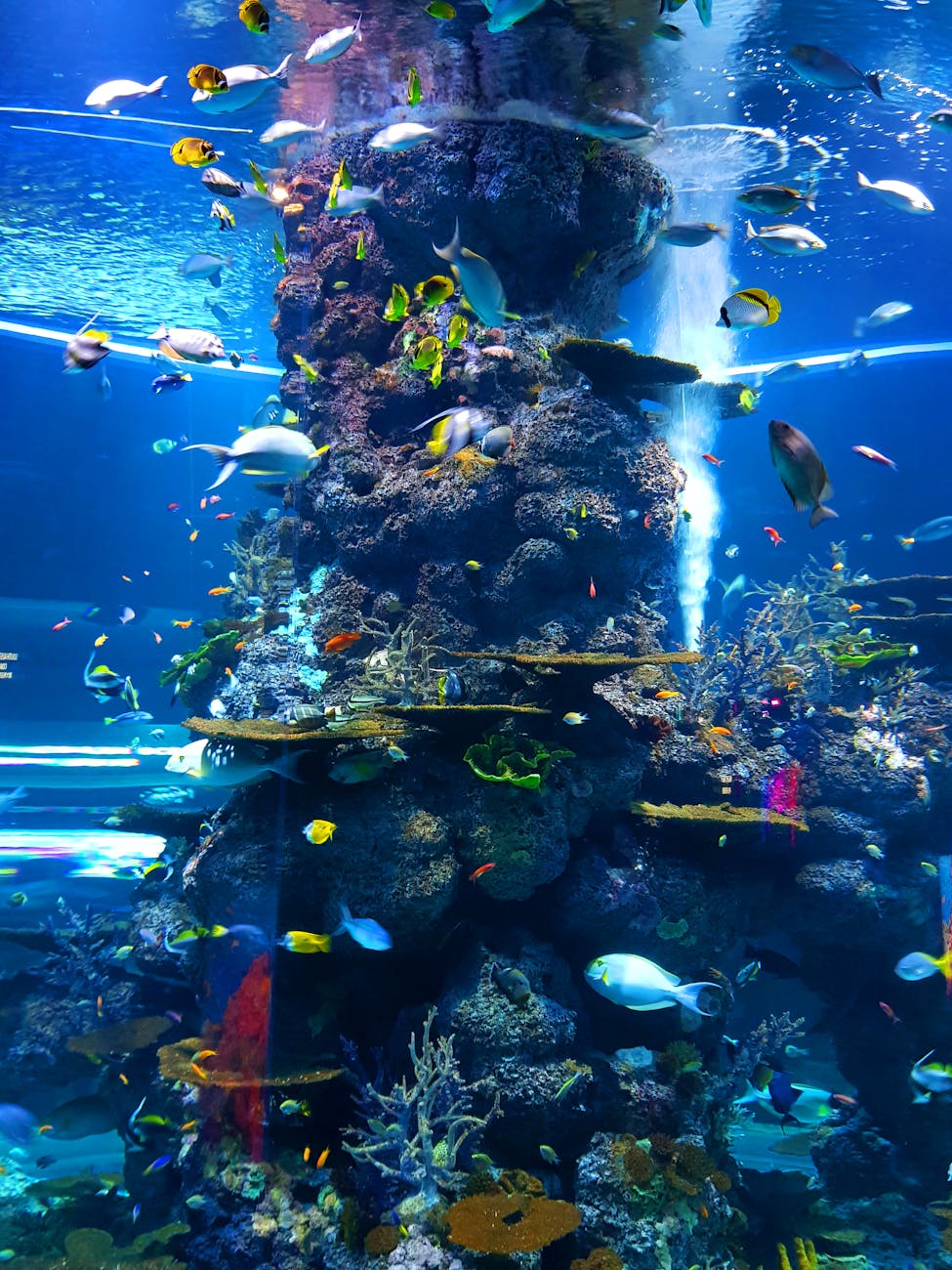AI Tutorial Sparks Imagination: Transform Images into Animated Realities