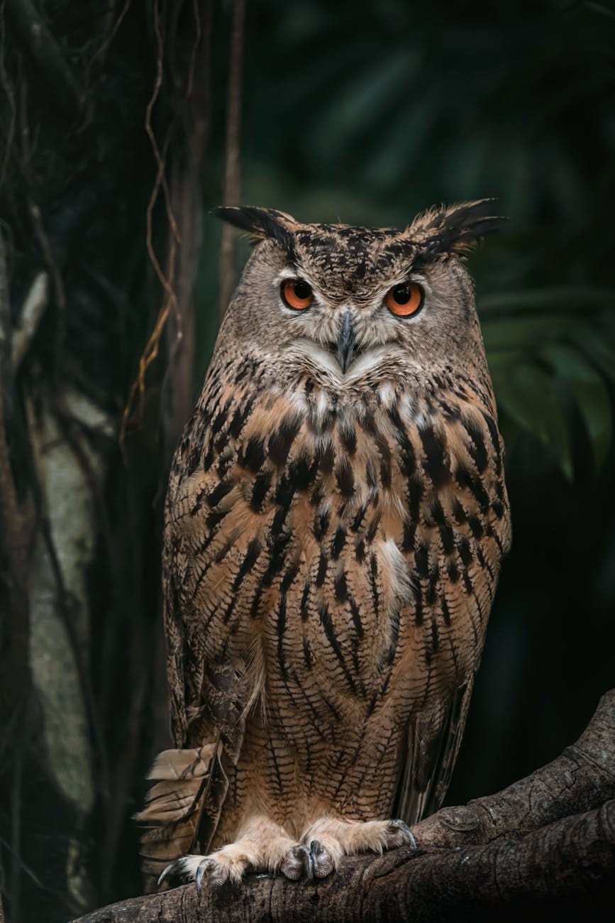 AI Students Subliminally Mimic Teacher Traits, Raising Ethical Concerns