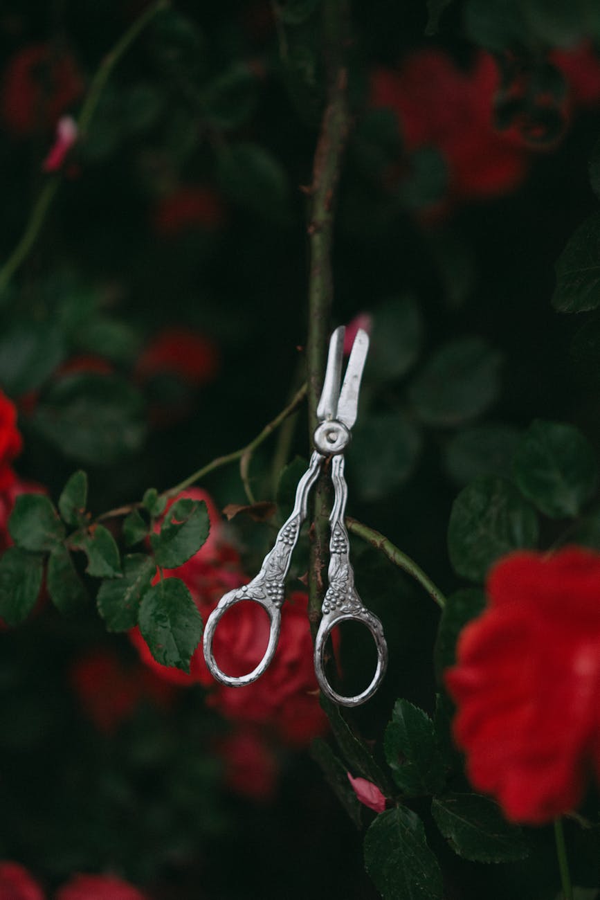 Gemini Live Helps Reddit User Master Tree Pruning: AI Tackles Real-World Challenges