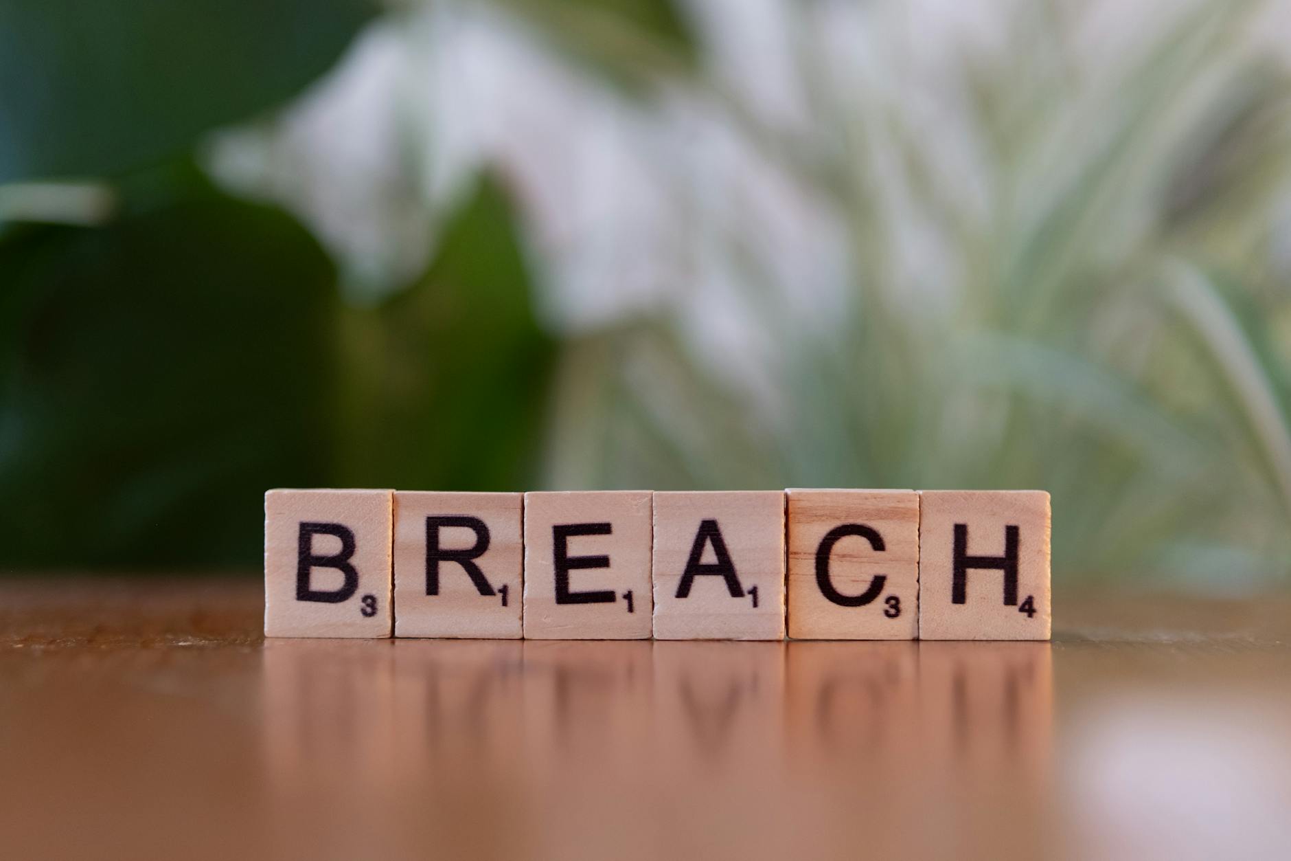 Britannica and Merriam-Webster Accuse Perplexity AI of Copyright Theft