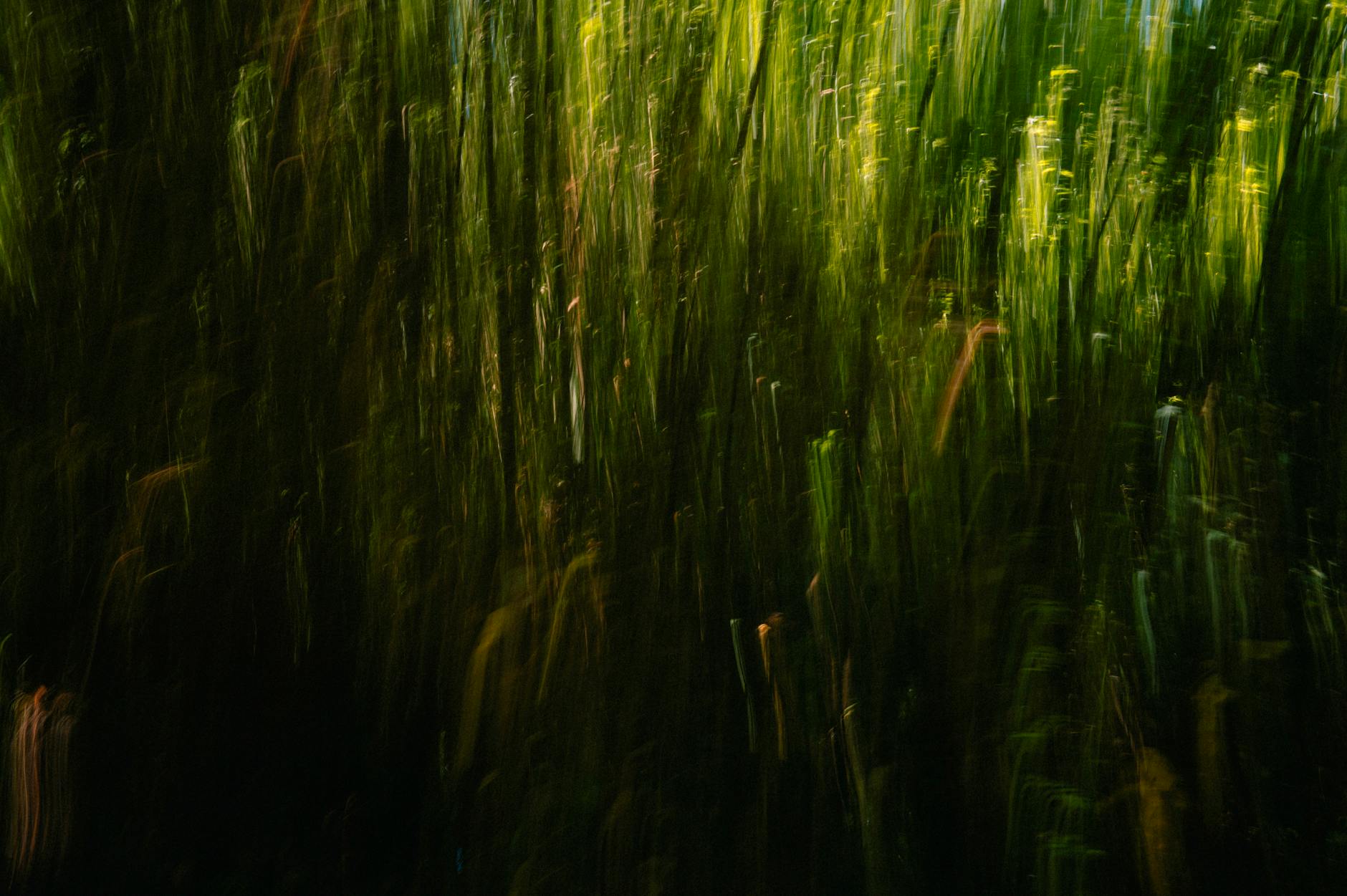 Sora 2 Sparks Ethics Debate: Recreating Deceased Celebrities in Video