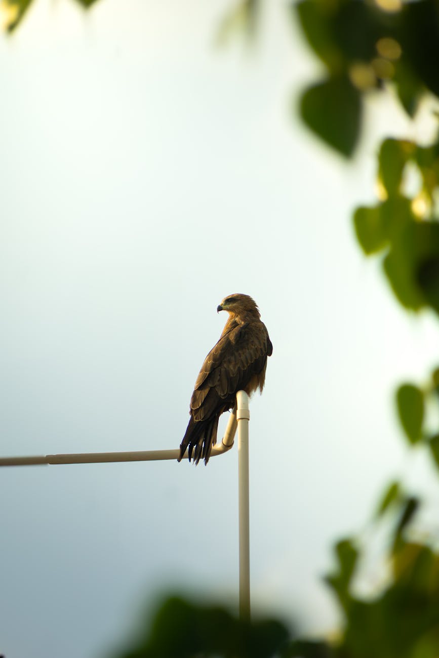 Anduril's EagleEye: AI Helmet Gives Soldiers Meta-Powered Edge
