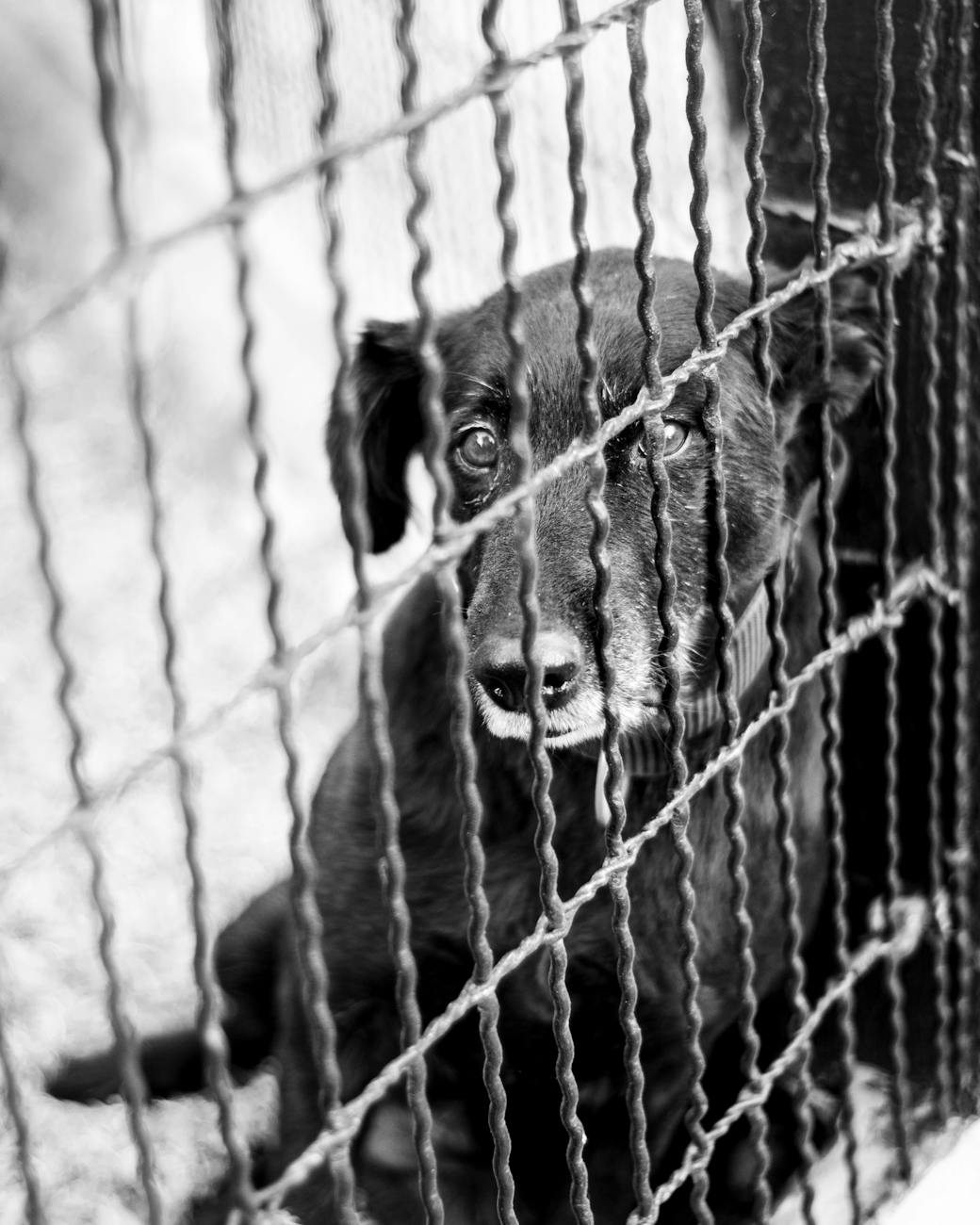 Trump Posts AI-Generated Video Simulating Feces Airdrop on Protesters, Igniting Debate