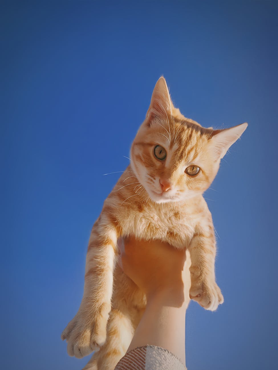 Lovable's Web Traffic Declines Spark Valuation Debate in AI Coding Sector