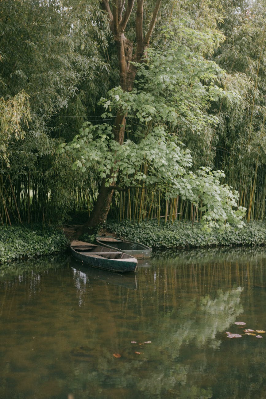 Claude AI Revolutionizes Life Sciences Research with Rapid Data Analysis and Documentation