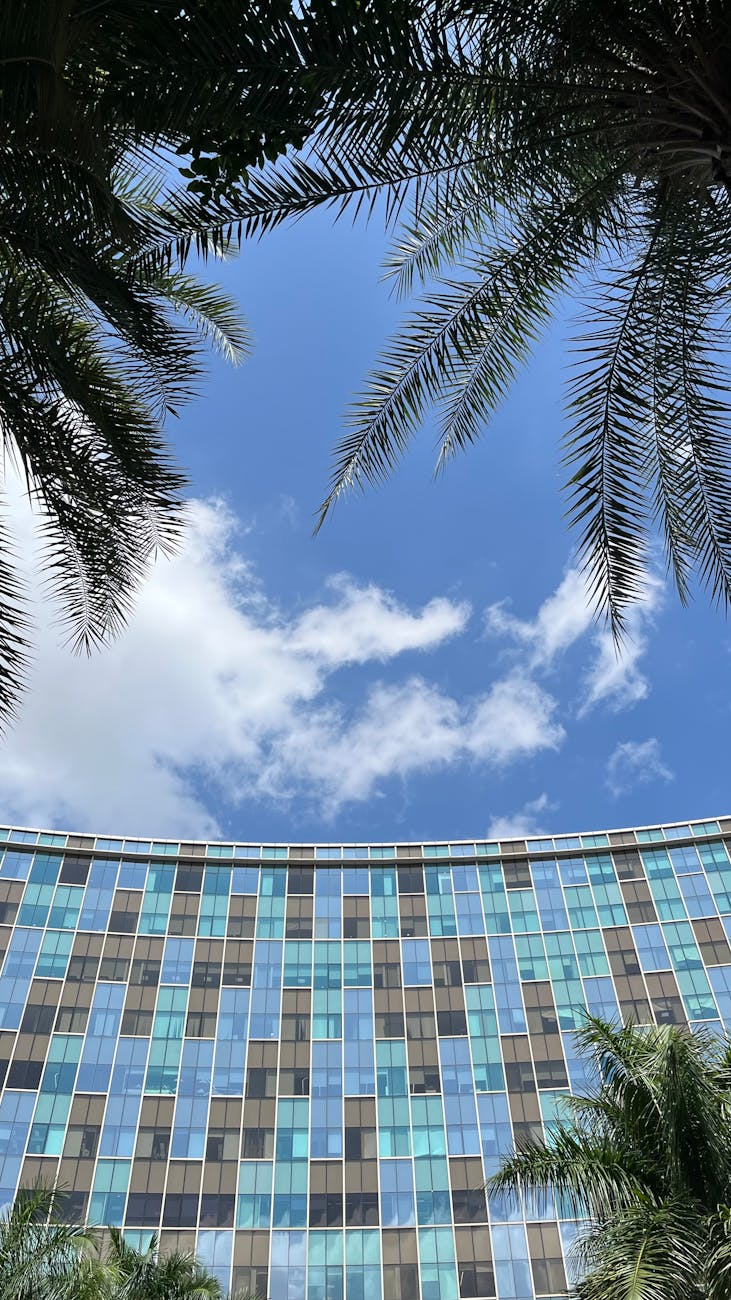 Apple Deepens AI Play: More Third-Party Integrations on the Horizon