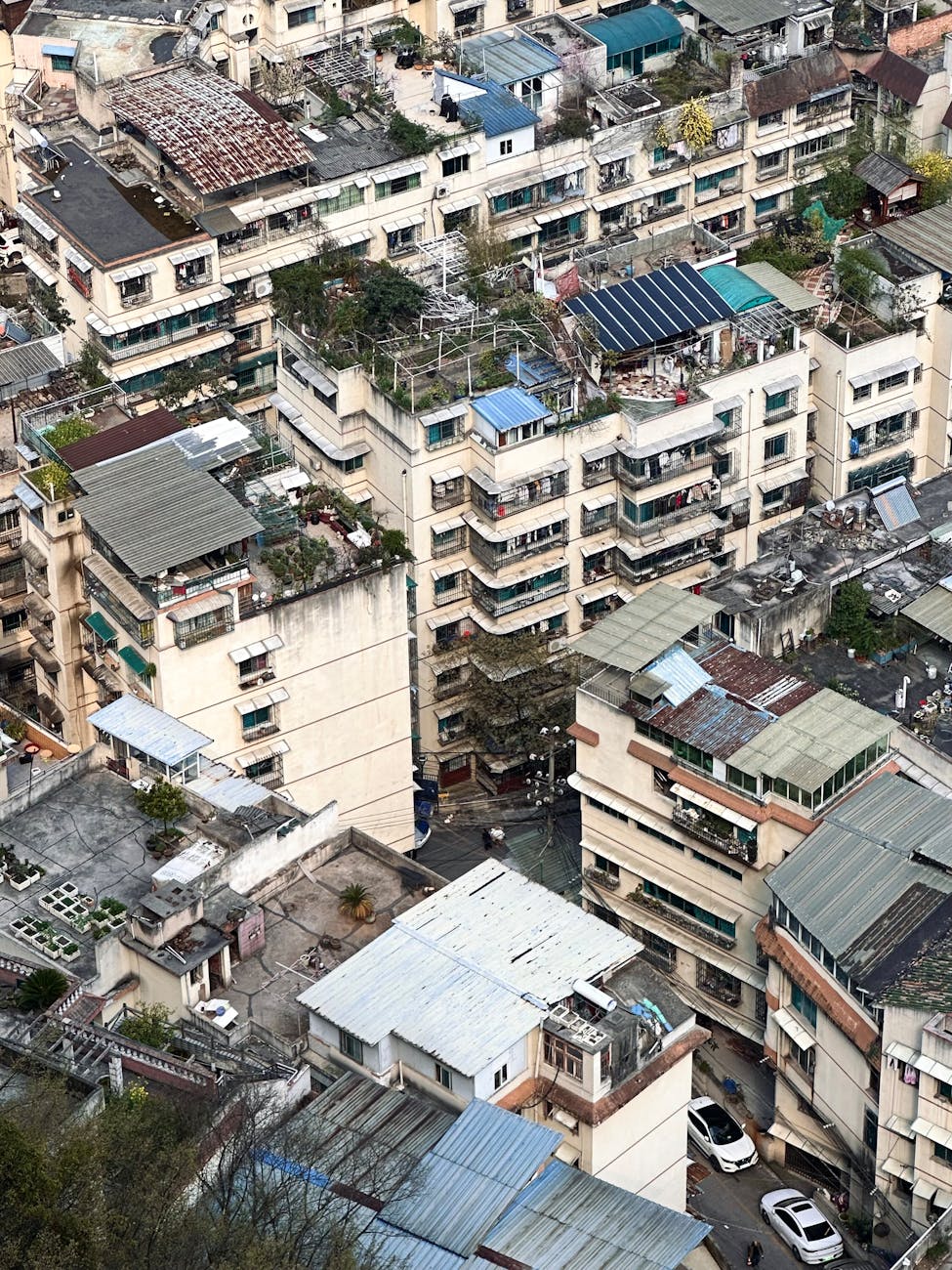 Dubai's Agile AI Strategy: Prioritizing Speed and Scalability Over Costly Infrastructure