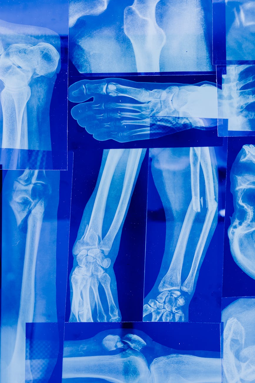 Medical Imaging Revolution: AI Market Set for Explosive Growth