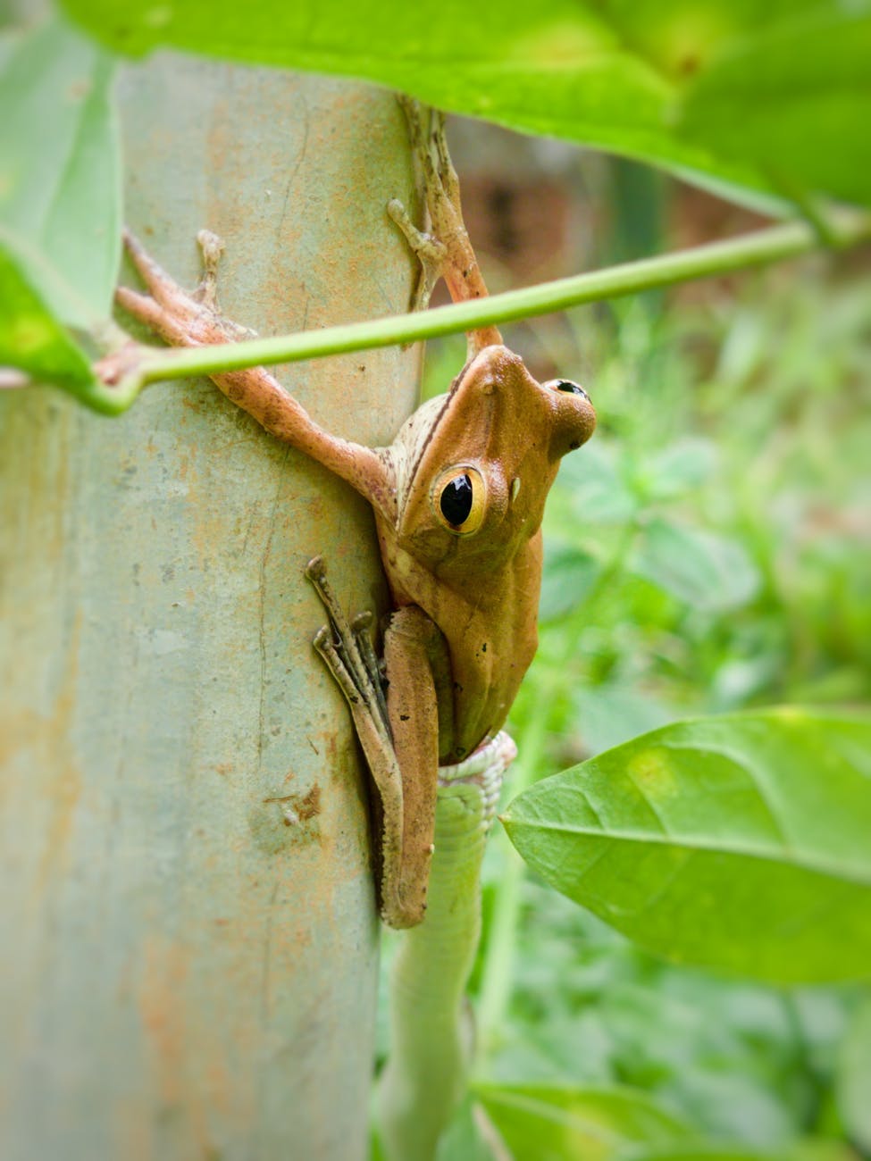 LLMs Evolve to Mirror User's Thinking Patterns, Study Finds