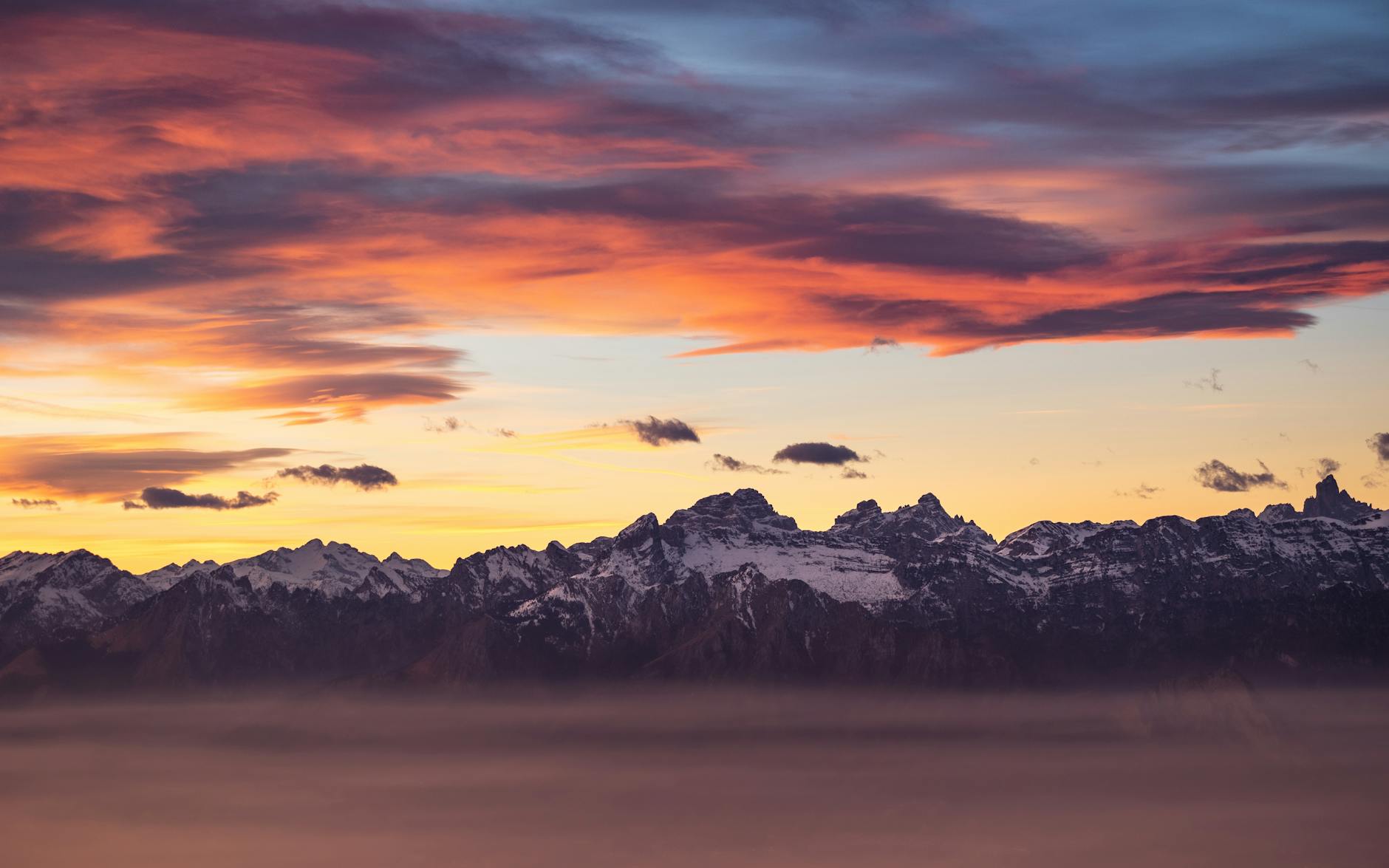 AI Foresees Human Extinction Following AGI Emergence, User Claims