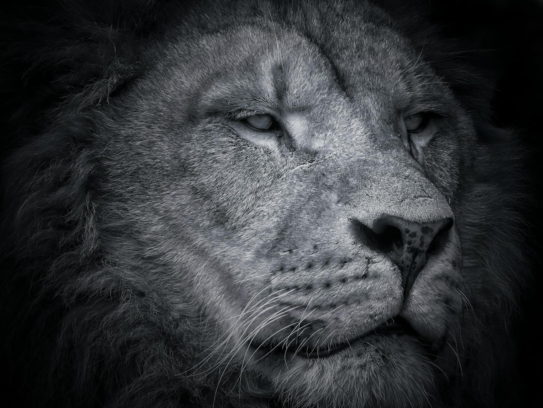 Nvidia Declares Dominance in AI Race as Meta-Google Alliance Looms