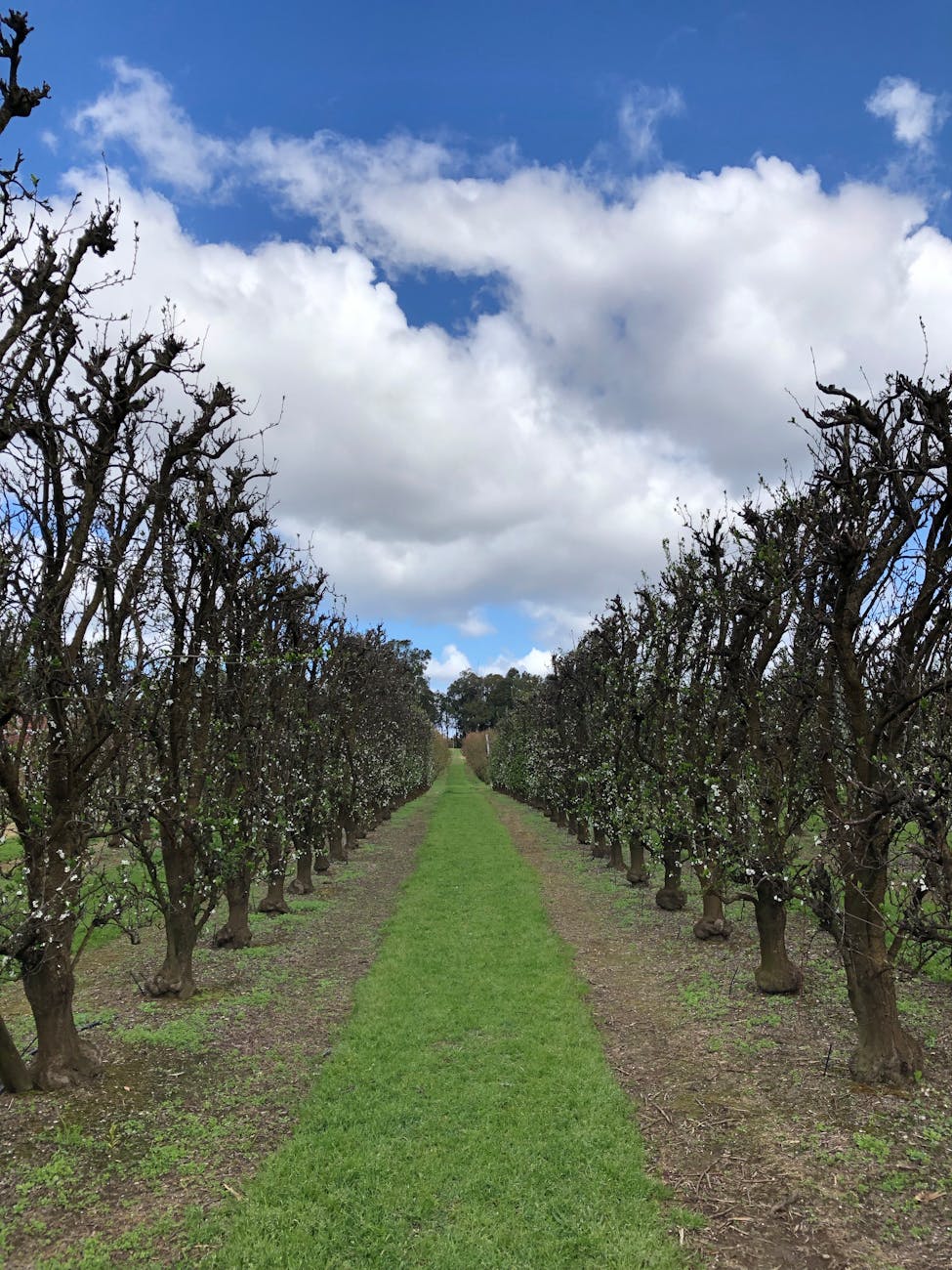 AI Alignment: Is the Quest for Perfect Control Self-Defeating?