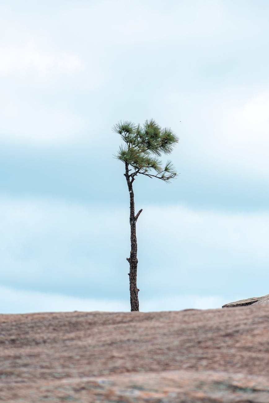 Hack The Box Launches AI Range for Cybersecurity Resilience Testing