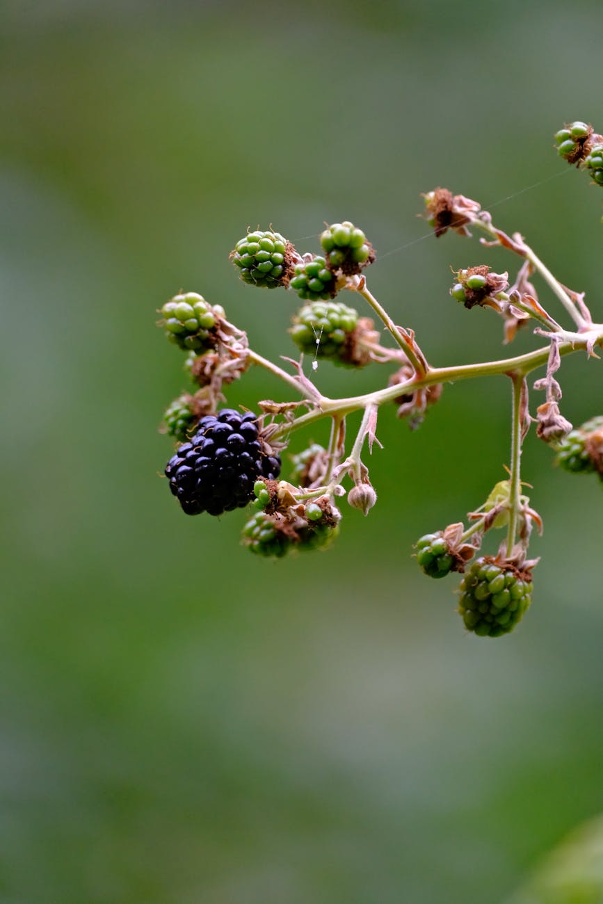 Singularity Compute Deploys Renewable-Powered GPU Cluster in Sweden to Ease AI Compute Bottleneck